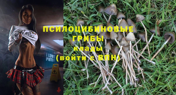 ешки Струнино